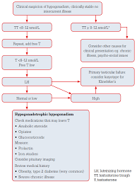Racgp Assessment And Management Of Male Androgen Disorders An Update