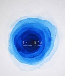 The Turtle Story Creates Unique Brand Identity for Shoonya - World Brand  Design Society