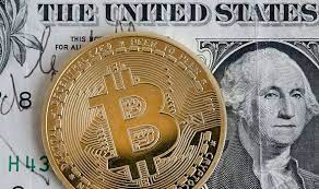 According to jms, you will earn $8,602 of pure profit in a year with this bitcoin miner. Bitcoin Will Reach 73 000 Value By End Of 2021 In Startling Claim City Business Finance Express Co Uk
