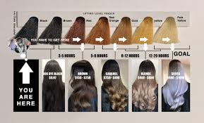 Hair dye remover is a product that reverses the oxidation of permanent hair dye. This Diagram Will Help You Price Time Black To Blonde Transformations Behindthechair Com
