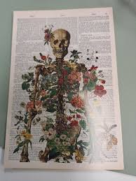 Image result for Diclis