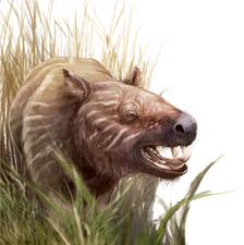 Free download or read online monster pdf (epub) book. Cranial Morphology And Phylogenetic Relationships Of Trigonostylops Wortmani An Eocene South American Native Ungulate
