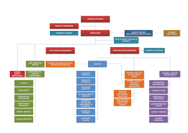 organization chart gulf medical university