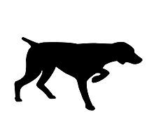 Everything you need to know about the gsp dog, from puppies to rescue dogs. German Pointer Shorthaired Gifts Merchandise German Shorthaired Pointer Dog Silhouette German Shorthair