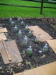 Lowe S Gardening Center Commercial Garden Soil Bag Garden Center Osterley Best Garden Gadgets 2016 Chevy Gardenin Groenten Tuin Eetbare Tuin Groentetuin