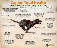 The 'bones and raw dog food' diet has changed to biologically approved raw food. Feeding A Natural Raw Diet To Dogs