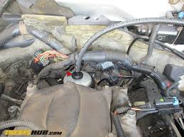 I need to know the location of fuel filter/filters for a 1993 chevy s10 pickup, 2.8 liter engine. 6 5l Gm Diesel Fuel Filter Replacement Procedures