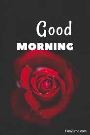 I made you some coffee and. 35 Best Good Morning Flowers Images Funzumo