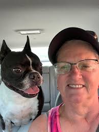 What's your favorite Boston Terrier feature?