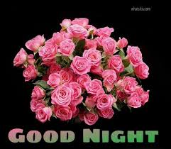 9 Good Night Rose Hd Wallpaper Richness Galleries In 2020 Good Night Flowers Hd Flower Wallpaper Rose Flower Wallpaper