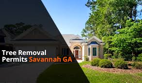 We specialize in tree trimming, crowing, dangerous tree removal, storm cleanup, and dead limb removal for residential and commercial properties. Tree Removal Law S Permit Savannah Ga Quick Summary