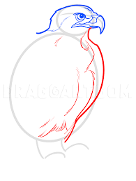 How to draw buzzard coloring page. How To Draw A Buzzard Coloring Page Trace Drawing