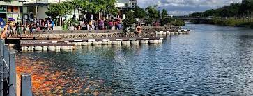 Jun 16, 2021 · a: Tourist Attractions In Calabarzon