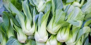 What cultures use bok choy?