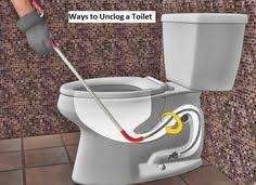 Place the plunger over the middle of the toilet bowl and plunge it well a few times. 13 Best Toilet Unclog Ideas Household Hacks Unclog Cleaners Homemade