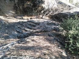 İçeriğimizde trafik işareti anlamları ile ilgili bütün detayları bulabilirsiniz. Merdiven Define Isareti Define Isaretleri Arastirma Konulari