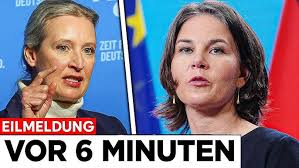 Wolf Rasenmäher Test ✔️ Top 5 besten Wolf Rasenmäher Test 2025 (  Aktualisiert )