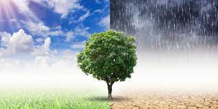 Existe evidencia alarmante de que es posible que ya se hayan alcanzado o superado importantes puntos de inflexión que conducen a cambios irreversibles en los principales ecosistemas y el sistema climático planetario. Cambio Climatico Concepto Causas Efectos Y Consecuencias