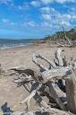 Boneyard Beach Florida - Big Talbot Island State Park « Running in ...