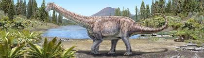 Parque safari es mucho más que un zoológico. Chile Presenta El Arackar Licanantay Un Dinosaurio Del Desierto De Atacama Meganoticias