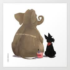 Pin On Scotties And More