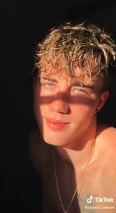 I Don T Wanna Be Your Friend I Wanna Kiss Your Lips Tiktok Pin On Connor Tanner