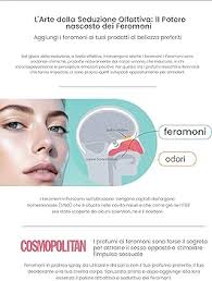 FEROMONY SPRAY CONCENTRATED for Men, use alone or with your favorite  perfume or cosmetics, to Attract and Seduce 40ml