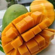 Bibit mangga harum manis buah mangga asli indonesia. Buah Mangga Harum Manis Shopee Indonesia