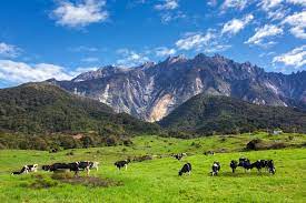 Kundasang adalah satu kawasan tanah tinggi di area berhampiran dengan ranau. Tips Melancong Ke Kundasang