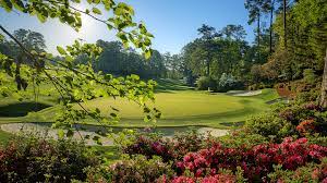 Check spelling or type a new query. The Masters Hole 13 Azalea