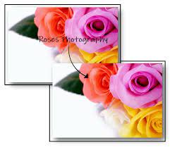 Open fotor and click the button edit a photo, go to beauty. Best Ways To Remove Text From Image