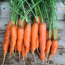 If you don't wash garden lettuce appropriately, this is possible. How To Harvest And Store Garden Carrots Getty Stewart
