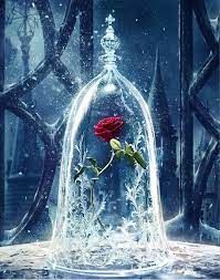 Maybe you would like to learn more about one of these? Amazon Com Abeuty Diy Paint By Numbers For Adults Beginner Roses In Glass Dome Beauty And The Beast Enchanted Rose 16x20 Inches Number Painting Anti Stress Toys No Frame