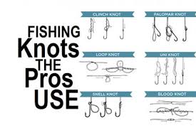 what the pros say what is your go to fishing knot video