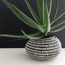 Black And White Plant Pots Monochrome Plants White Planters Pots Pot Designs