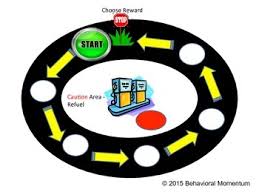 Car Behavior Chart