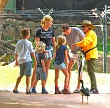 Holly willoughby's wedding happened back in august 2007, at amberley castle in west sussex, meaning the couple have been married for 13 years this year. Holly Willoughby And Kids Hug Koalas And Play With Kangaroos On Fun Day Out Irish Mirror Online