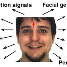 8: The neighborhood and Fourier frequencies in LPQ.