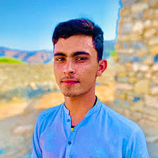 Capcut Urban Jungle Template Name Salman