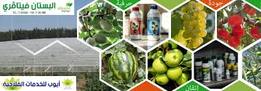 Elbosten Phytagri Et Ayoub Agro Services Posts Facebook