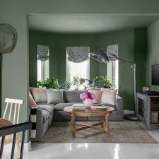 Maybe you would like to learn more about one of these? Green Living Room Pictures Hgtv Photos