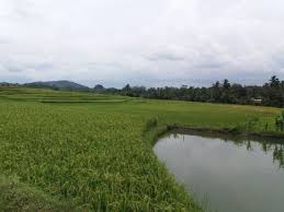 Daftar harga beton ready mix jayamix terbaru 2021. 6 Tips Ke Danau Quarry Jayamix Tegalega Cigudeg Bogor