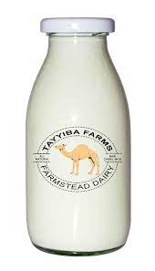 All products from where to buy camel milk category are shipped worldwide with no additional fees. Buy Premium Fresh Raw Camel Milk 1l Glass Bottle