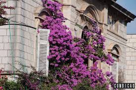 Here you'll find all of the information, content and tools you need to plan your holidays in croatia. Croacia Para Quem Gosta De Praia E Historia Cumbicao