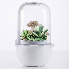 Top reviews from the united states. China Smart Tabletop Succulents Planter Led Grow Light China Led Grow Light Plant Grow Light