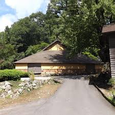 Image result for Tragia okanyua