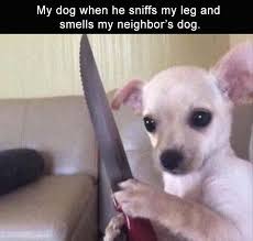 Sign up for a newsletter today! Clean Memes 02 03 2020 Evening Clean Memes