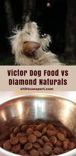 Victor Dog Food Vs Diamond Naturals Your Complete Guide In 2020 Dog Food Recipes Natural Puppy Vs Diamond