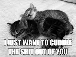 I Just Want To Cuddle The Shit Out Of You Cuddles Quickmeme