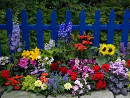 To inspire and give you ideas, here are photos of house beautiful's favorite garden. 15 Beautiful Flower Garden Images Top Collection Of Different Types Of Flowers In The Images Hd